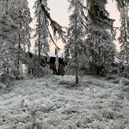 Chale Naava Villa Rukatunturi Екстериор снимка